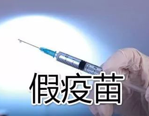 非洲豬瘟有疫苗了？假的！