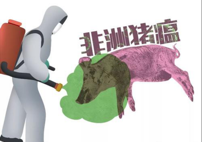 6月份最新一周國(guó)際動(dòng)物疫情動(dòng)態(tài)（非洲豬瘟）